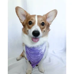 Bandana | Grape Tie Dye